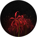 helen profile picture